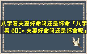 八字看夫妻好命吗还是坏命「八字看 🌻 夫妻好命吗还是坏命呢」